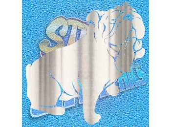 New English Bulldog 036