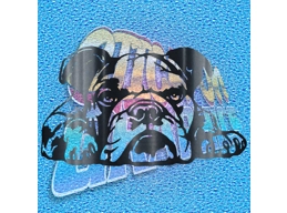 New English Bulldog 041