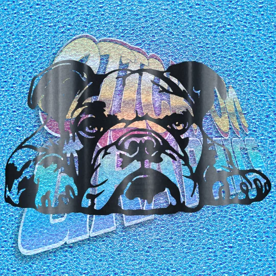 New English Bulldog 041