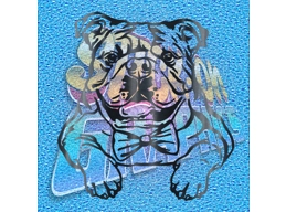New English Bulldog 043