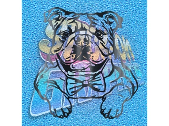New English Bulldog 043