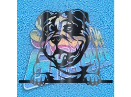 New English Bulldog 044