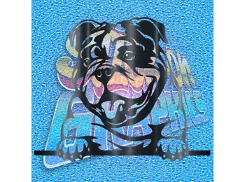 New English Bulldog 044