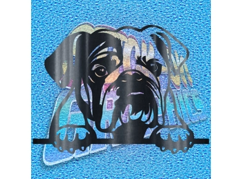 New English Bulldog 045