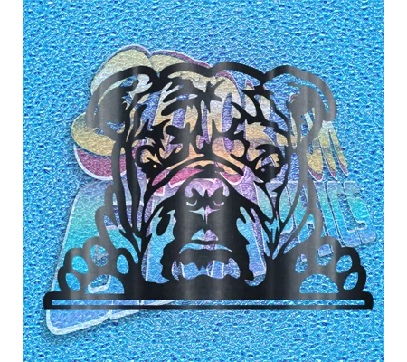 New English Bulldog 047