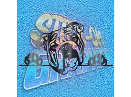 New English Bulldog 048