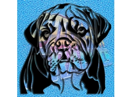 New English Bulldog 049
