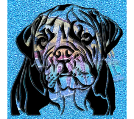 New English Bulldog 049