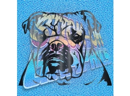 New English Bulldog 050