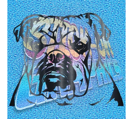 New English Bulldog 050