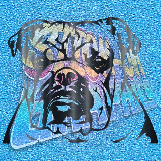 New English Bulldog 050