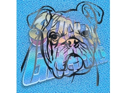 New English Bulldog 051