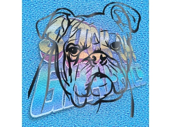 New English Bulldog 051