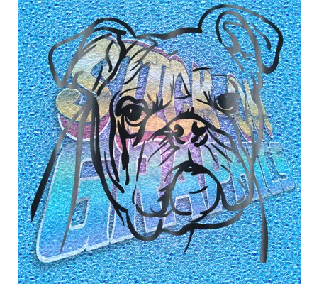 New English Bulldog 051