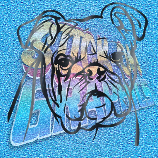 New English Bulldog 051