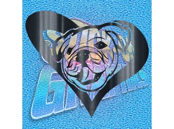 New English Bulldog 053