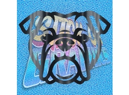 New English Bulldog 058