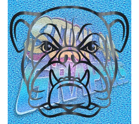 New English Bulldog 062