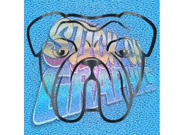 New English Bulldog 063