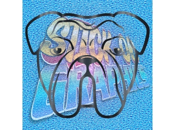 New English Bulldog 063