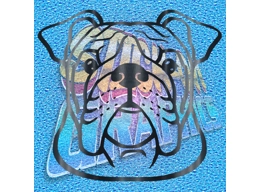 New English Bulldog 064