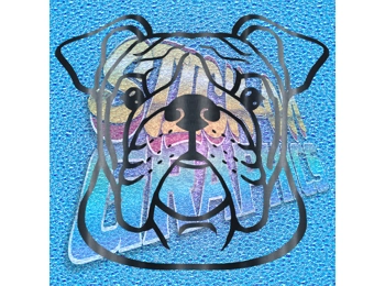 New English Bulldog 064