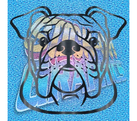 New English Bulldog 064