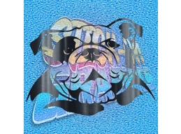 New English Bulldog 065