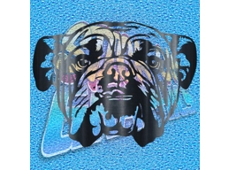 New English Bulldog 066