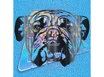 New English Bulldog 066