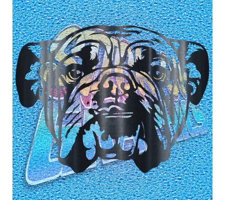 New English Bulldog 066