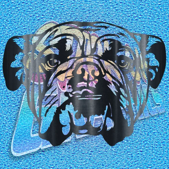 New English Bulldog 066