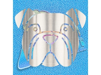 New English Bulldog 067