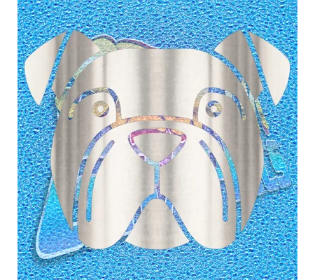 New English Bulldog 067