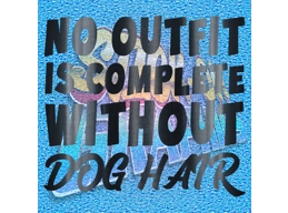 New English Bulldog 074