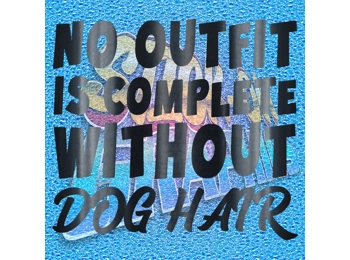 New English Bulldog 074