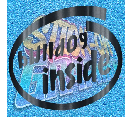 Bulldog Inside 078