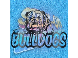 New English Bulldog 082