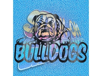 New English Bulldog 082