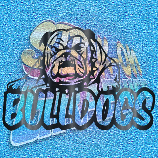 New English Bulldog 082