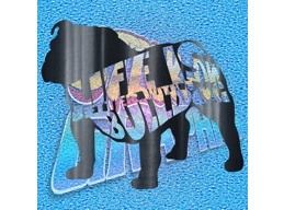 New English Bulldog 088