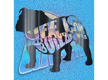 New English Bulldog 088