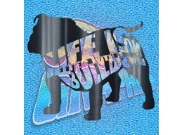 New English Bulldog 088 wT