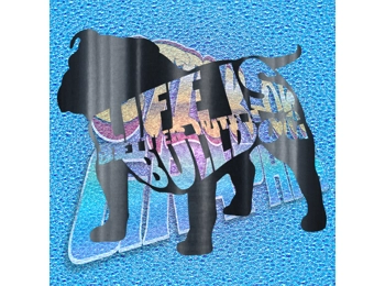 New English Bulldog 088 wT