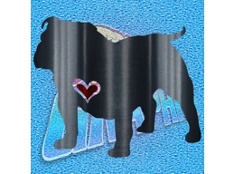 New English Bulldog 089 wT