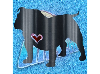 New English Bulldog 089 wT