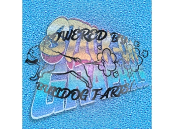 New English Bulldog 093