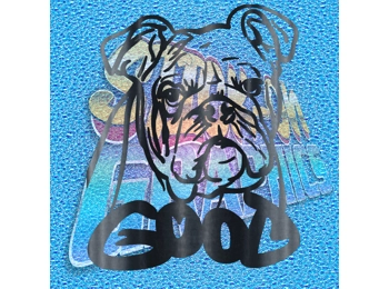 New English Bulldog 096