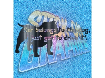 Car Belgons To The Dog wT