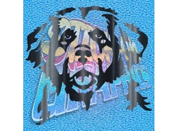 New Foundland / Leonberger